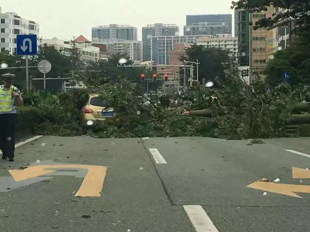 就让风继续吹吹吹🌬🌬🌬……只要您有给我们下单,风雨无阻,耐斯照常为您出单!