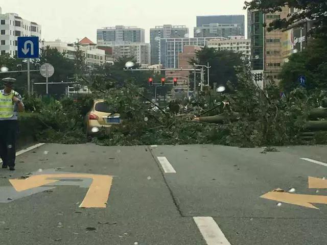 就让风继续吹吹吹🌬🌬🌬……只要您有给我们下单，风雨无阻，耐斯照常为您出单！