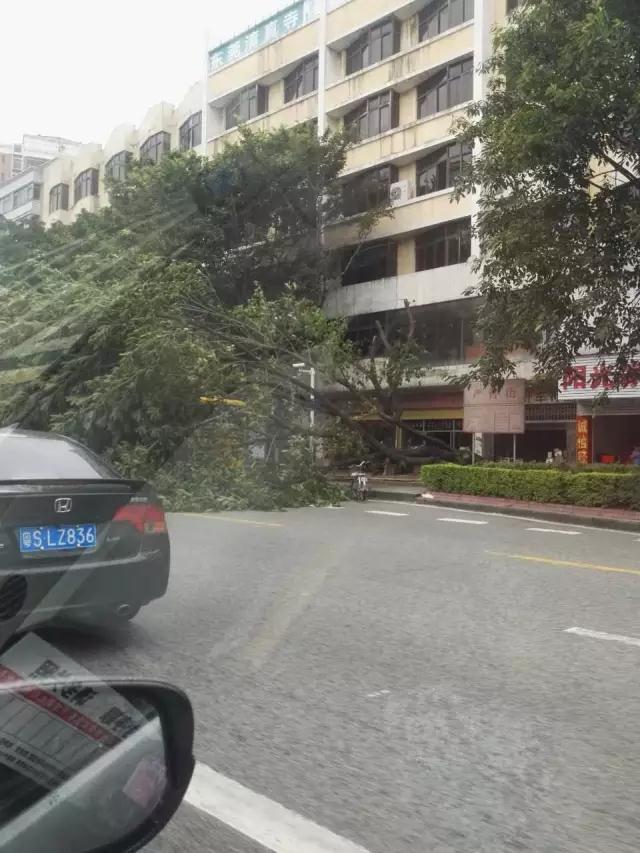 就让风继续吹吹吹🌬🌬🌬……只要您有给我们下单，风雨无阻，耐斯照常为您出单！