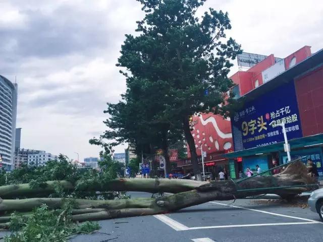 就让风继续吹吹吹🌬🌬🌬……只要您有给我们下单，风雨无阻，耐斯照常为您出单！