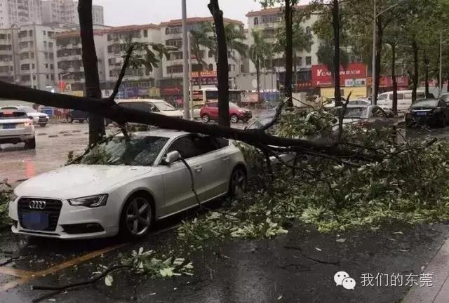 就让风继续吹吹吹🌬🌬🌬……只要您有给我们下单，风雨无阻，耐斯照常为您出单！