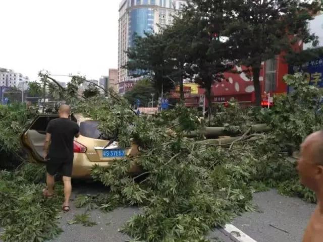 就让风继续吹吹吹🌬🌬🌬……只要您有给我们下单，风雨无阻，耐斯照常为您出单！