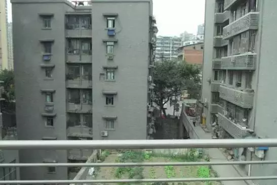 重庆这张照片轰动了亚洲,震撼了全世界!耐斯设备模具行业领军人