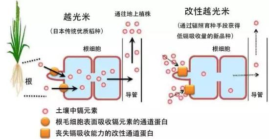 耐斯合模机，平板翻模机，六轴深孔钻与您分享袁隆平的这一世界级突破有多牛？