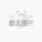 引领潮流一流品牌耐斯50吨翻模机